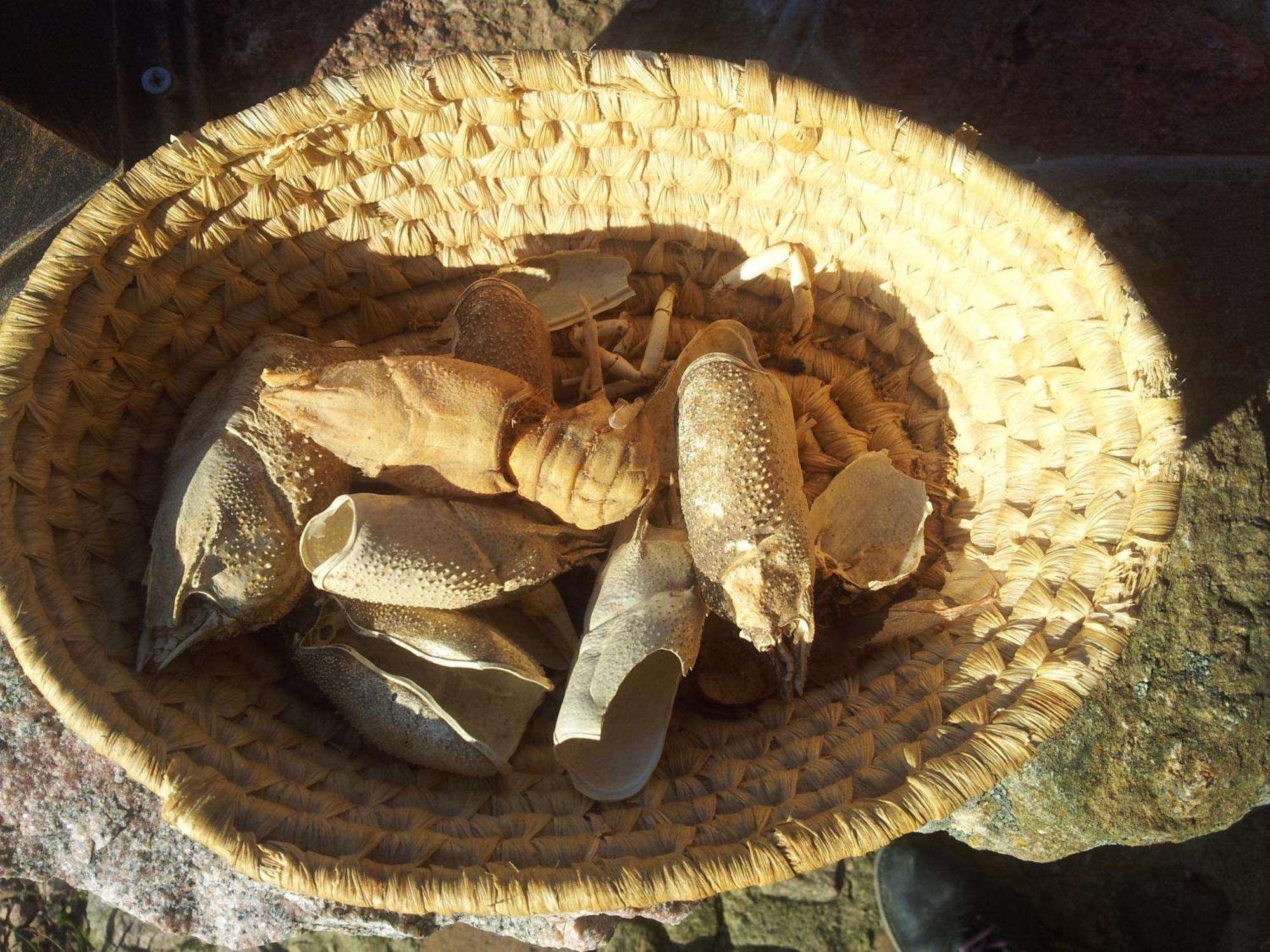 Hosteria Na Mazurach Домбрувно Екстер'єр фото